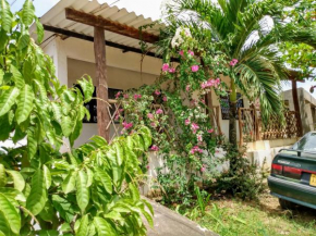 Гостиница Hostal Santa Clara  Сан Антеро